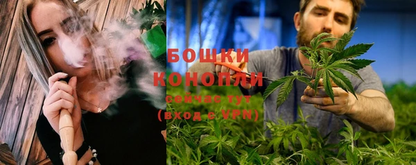 альфа пвп Дмитровск